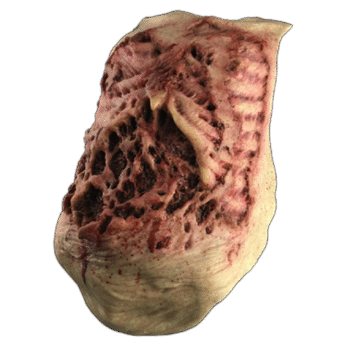 Zombie Silicone Body Suit