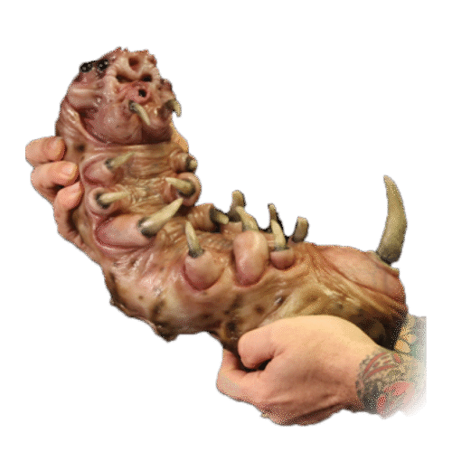 Larva Silicone Baby Mask